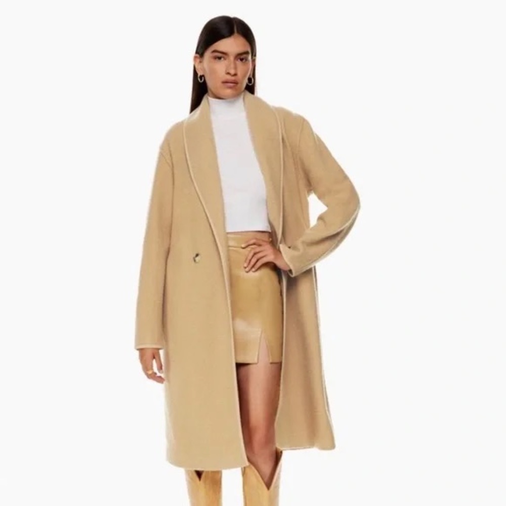 Aritzia Wilfred Charlize Coat